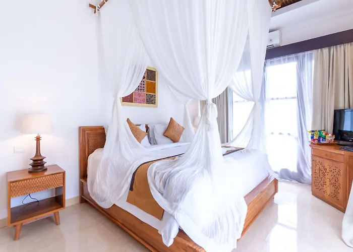Hotel Villa Sonia Bisma 3*