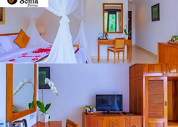 Hotel Villa Sonia Bisma 3*