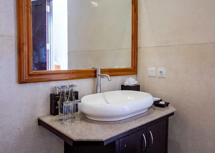 Hotel Villa Sonia Bisma 3*